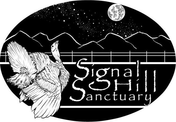 Signal Hill Sanctuary